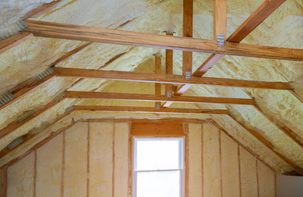 Best Geographic-Specific Insulation Services in Olathe, CO