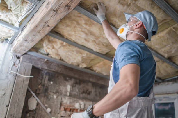 Best Commercial Insulation in Olathe, CO