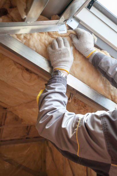 Types of Insulation We Offer in Olathe, CO
